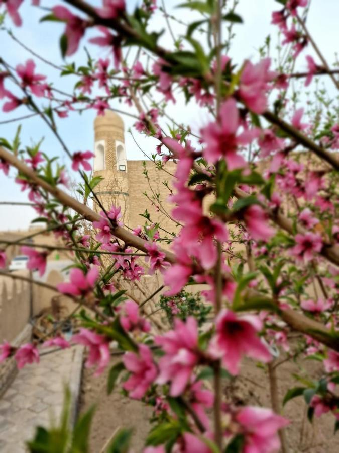 Guest House Khiva Boyjon Ota 外观 照片